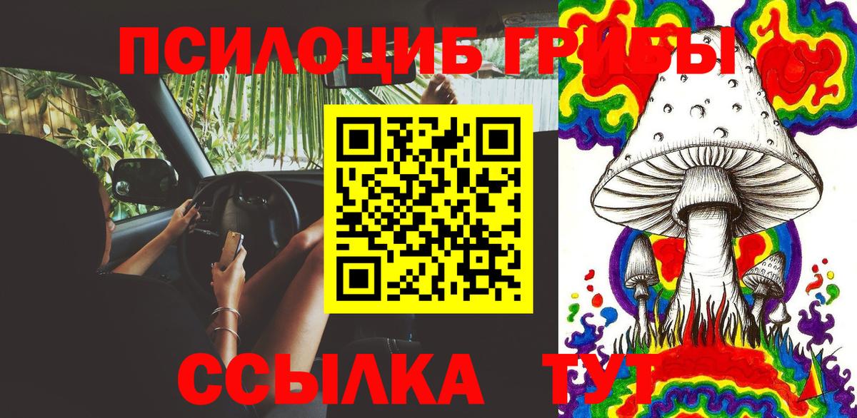 Мурино  Галлюциногенные грибы GOLDEN TEACHER  Вход с VPN 
