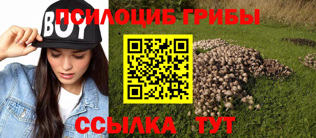 Галлюциногенные грибы ЛСД Мурино